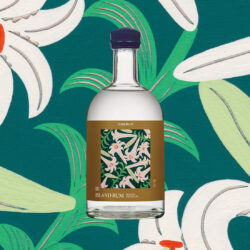 沖縄産ラム「ONERUM」の第8弾商品、離島シリーズの締め括りとなる伊